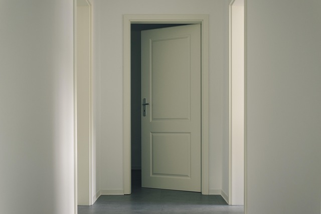 Is Your Front Door Lucky? Vastu Tips to Know Now!-Vastu Shastra for Home Entrance 2 door main entrance